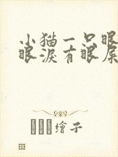 小猫一只眼睛流眼泪有眼屎怎么回事