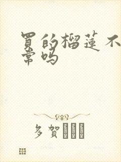 买的榴莲不臭正常吗