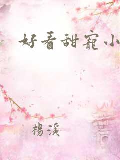好看甜宠小说