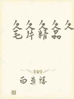 久久久久久久久毛片精品