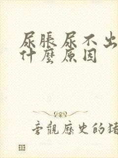 尿胀尿不出来是什么原因