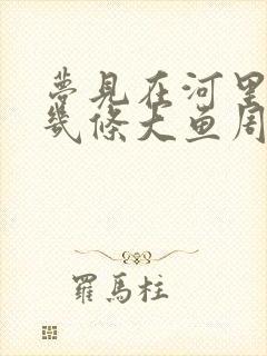 梦见在河里抓了几条大鱼周公解梦