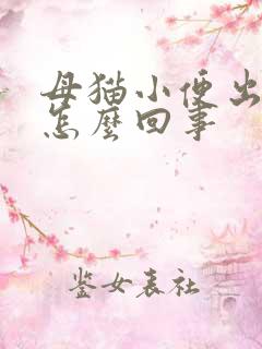 母猫小便出血是怎么回事