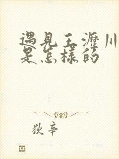 遇见王沥川结局是怎样的