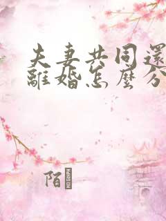 夫妻共同还贷款离婚怎么分配