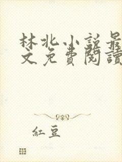 林北小说最新全文免费阅读