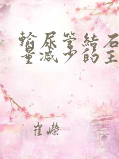 输尿管结石时尿量减少的主要原因