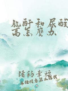 肌酐和尿酸都偏高怎么办