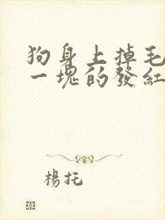 狗身上掉毛一块一块的发红