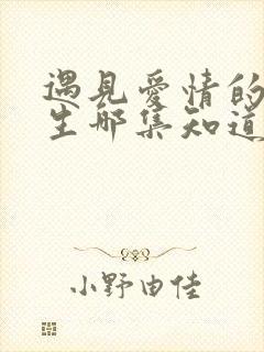 遇见爱情的利先生哪集知道身世