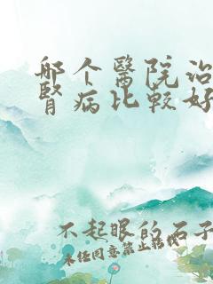 哪个医院治慢性肾病比较好