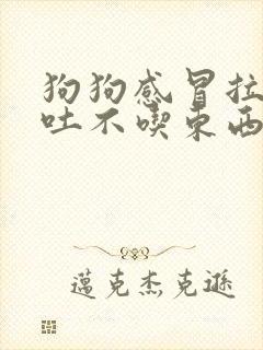 狗狗感冒拉稀呕吐不吃东西怎么办