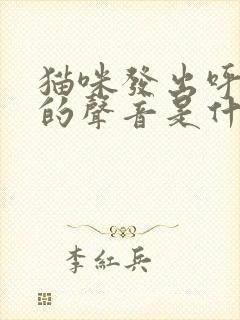 猫咪发出呼噜噜的声音是什么情况