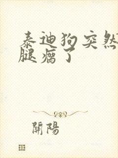 泰迪狗突然右后腿瘸了