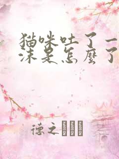 猫咪吐了一点白沫是怎么了