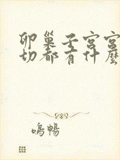 卵巢子宫宫颈全切都有什么影响