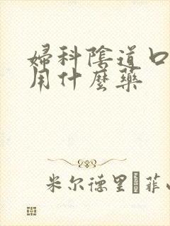 妇科阴道口瘙痒用什么药