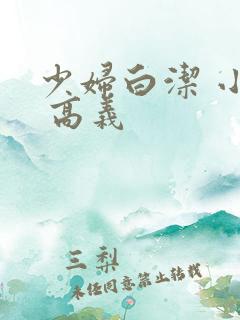 少妇白洁 小说 高义