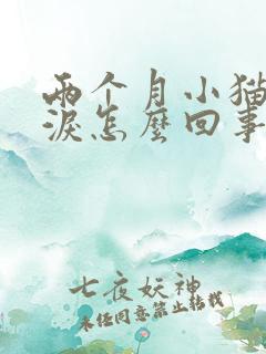 两个月小猫流眼泪怎么回事