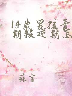 14岁男孩青春期叛逆期怎么办