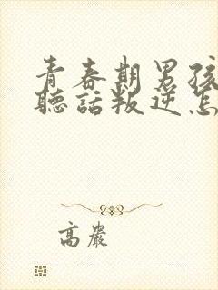 青春期男孩子不听话叛逆怎么应对