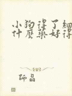 小狗得了细小吃什么药好得快