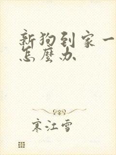 新狗到家一直叫怎么办