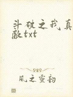斗破之我真的无敌txt