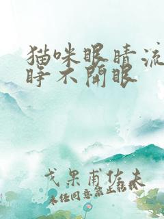 猫咪眼睛流脓还睁不开眼