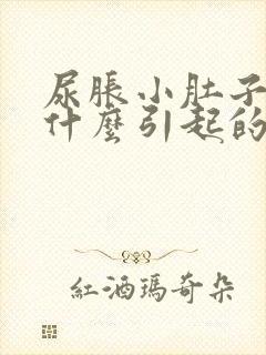 尿胀小肚子疼是什么引起的