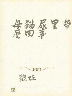 母猫尿里带血怎么回事