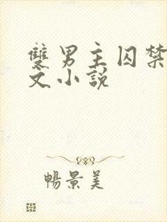 双男主囚禁生子文小说