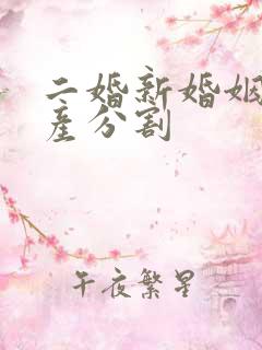 二婚新婚姻法房产分割