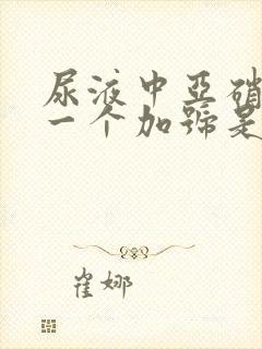 尿液中亚硝酸盐一个加号是什么意思