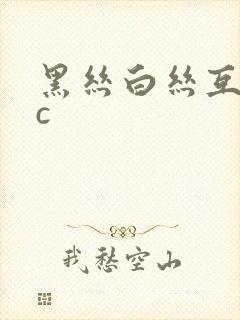 黑丝白丝互相被c