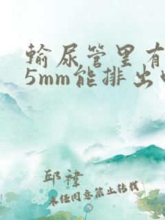 输尿管里有结石5mm能排出吗