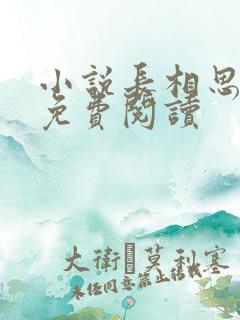 小说长相思原著免费阅读