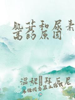 肌苷和尿素氮升高的原因