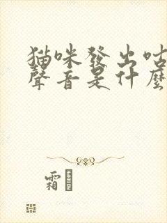 猫咪发出咕噜的声音是什么意思