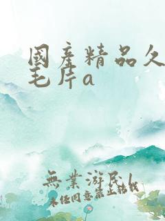 国产精品久久久毛片a