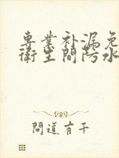 专业补漏免砸砖卫生间防水