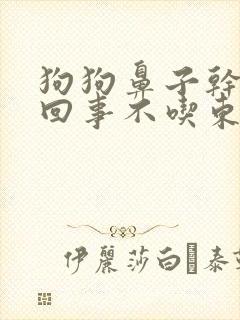 狗狗鼻子干怎么回事不吃东西怎么回事