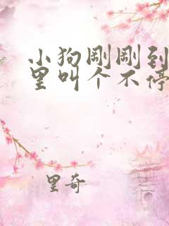 小狗刚刚到家夜里叫个不停