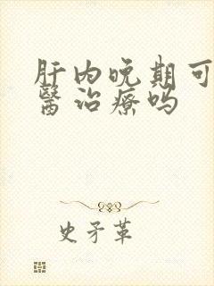 肝内晚期可以中医治疗吗