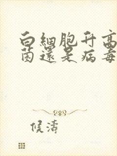 白细胞升高是细菌还是病毒感染吗