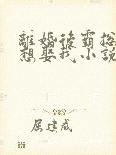 离婚后霸总天天想娶我小说免费看