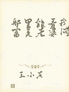 哪里能看我的白富美老婆网络小说