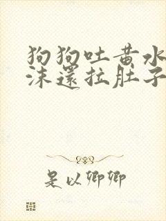 狗狗吐黄水带泡沫还拉肚子