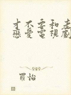 才不要和老板谈恋爱电视剧在哪看