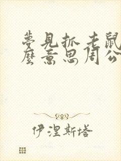 梦见抓老鼠是什么意思周公解梦